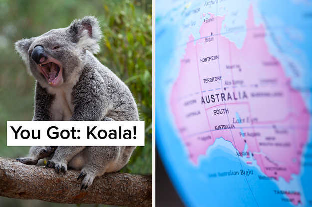 Take A Trip To Australia To Reveal Which Australian Animal You Are | SBM Global News