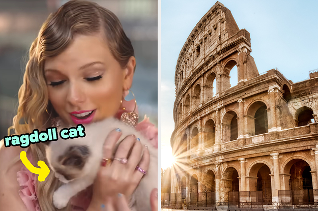 Travel Around The World To Reveal Which Cat Breed You Truly Are | SBM Global News