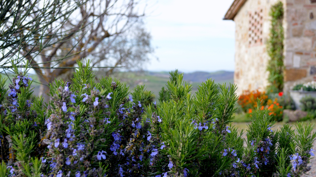 What is Agritourism | SBM Global News