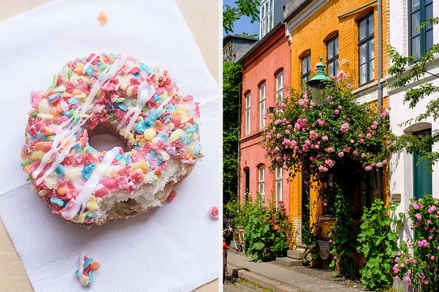 Eat Some Donuts And Well Give You An International City To Move To | SBM Global News
