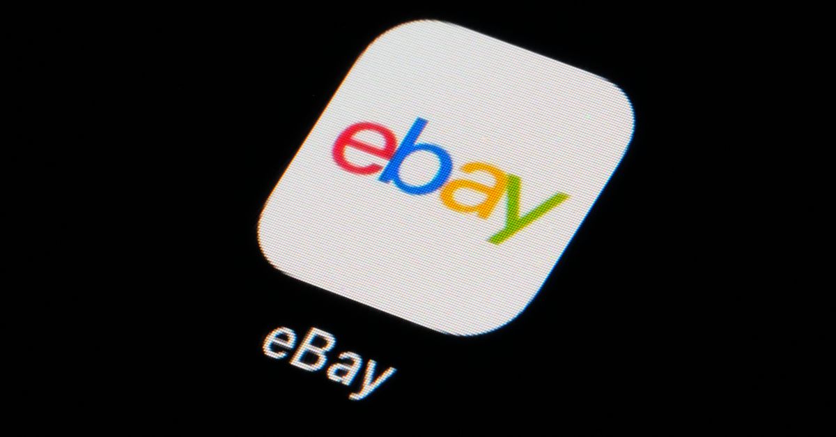 EBayFined3MForSendingLiveSpidersCockroachesToCouplejpeg | SBM Global News