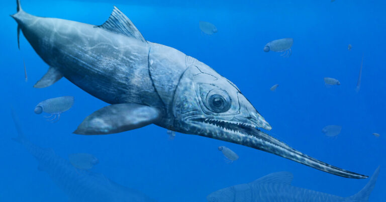 ThisAncientFishGavetheWholeOceantheStiffLowerjpg | SBM Global News