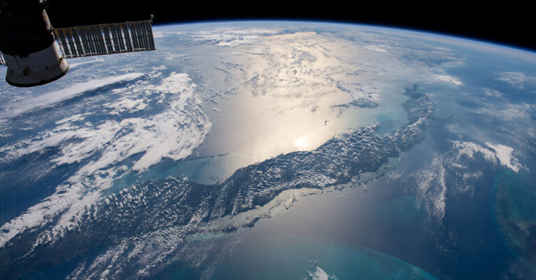 ScientistsUseSeaSpongestoStudyGlobalWarmingBacktojpg | SBM Global News