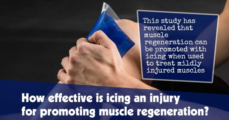 HowEffectiveIsIcinganInjuryforPromotingMuscleRegenerationjpg | SBM Global News