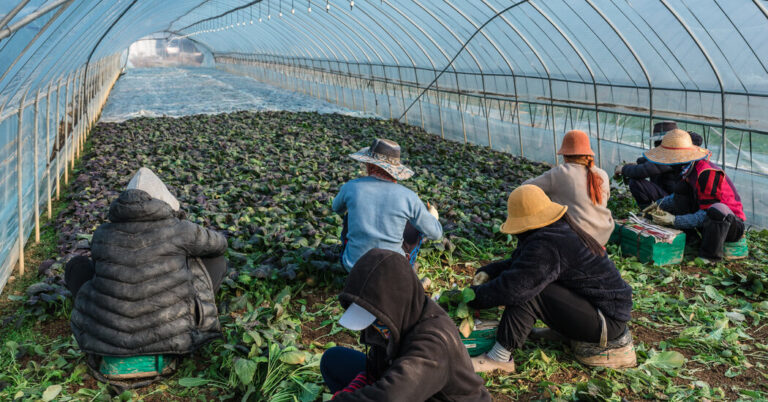 SouthKoreaIsDesperateforForeignWorkersjpg | SBM Global News