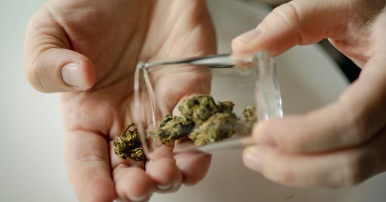 CannabisAndWeedUseGuidelinesForMiddleAgedPeoplejpeg | SBM Global News