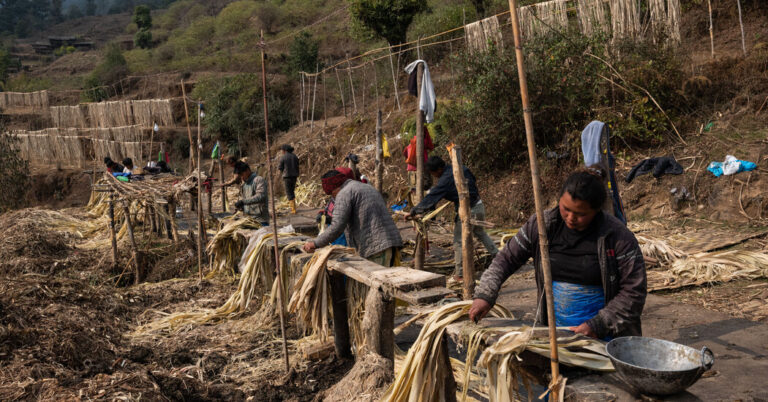 OnHimalayanHillsidesGrowsJapansColdHardCashjpg | SBM Global News