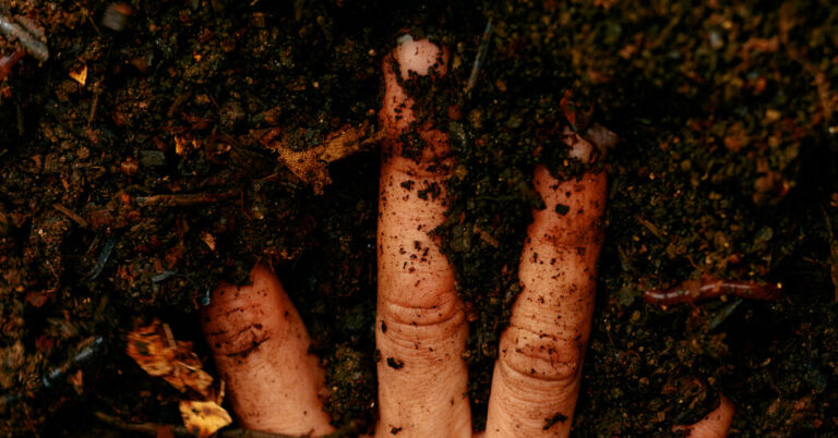 TheHealthBenefitsofGettingDirtyjpg | SBM Global News