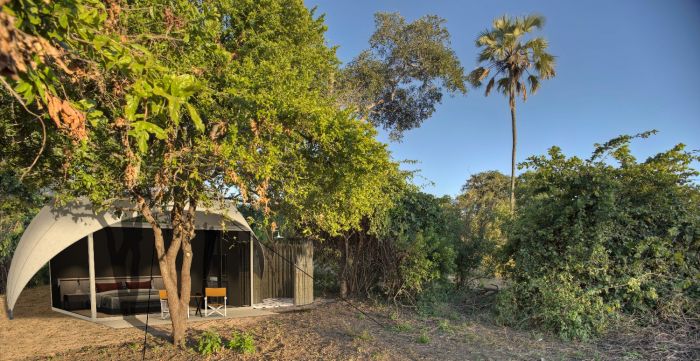 AsiliaAfricasNewestPropertyKokokoCampinTanzaniajpg | SBM Global News