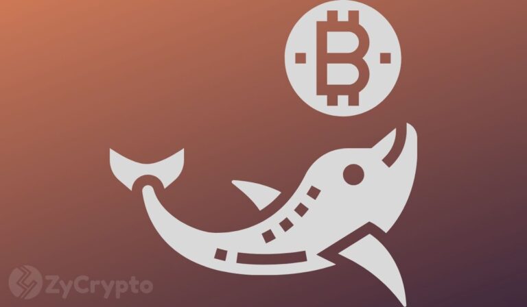 WhaleInvestmentsintoBitcoinHit100BillionIn2024Fuelingjpg | SBM Global News