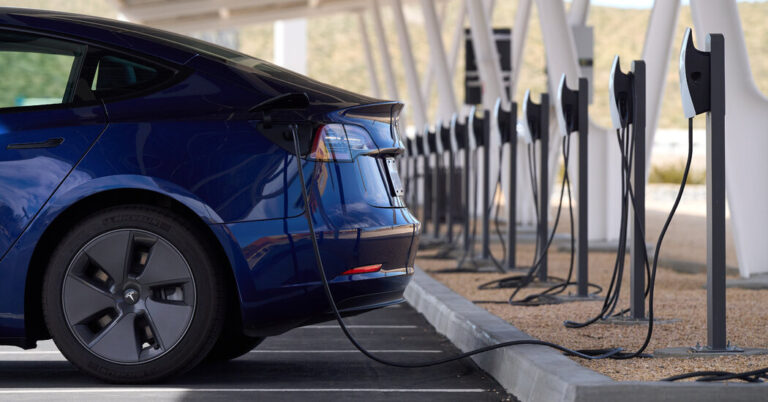 TeslasShareofUSElectricCarMarketFallsBelow50jpg | SBM Global News