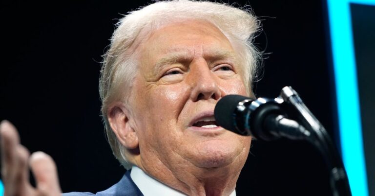TrumpTellsCrowdTheyWontHaveToVoteAgainAfterjpeg | SBM Global News