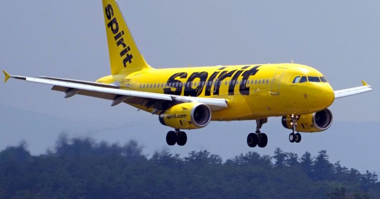 SpiritAirlinesFilesForBankruptcyAsFinancialLossesPileUpjpeg | SBM Global News