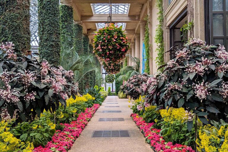 AWinterGetawaytoLongwoodGardensWheretoDineStayjpg | SBM Global News