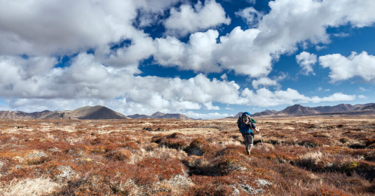 HowTrumpCutsCouldChangeYourSummerHikingTripjpg | SBM Global News