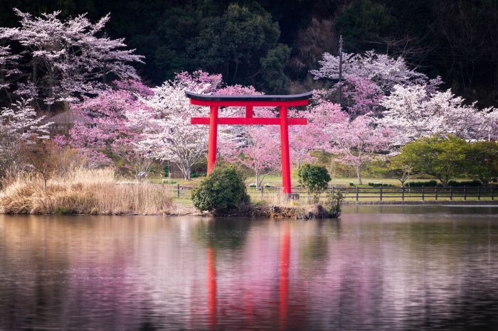 JoshuaLassmanWattsonTransformingLuxuryTravelwithAuthenticJapaneseExperiencesjpg | SBM Global News