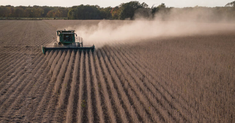 TrumpTariffsUnsettleFarmersbutTheyHaveTheirOwnFairjpg | SBM Global News