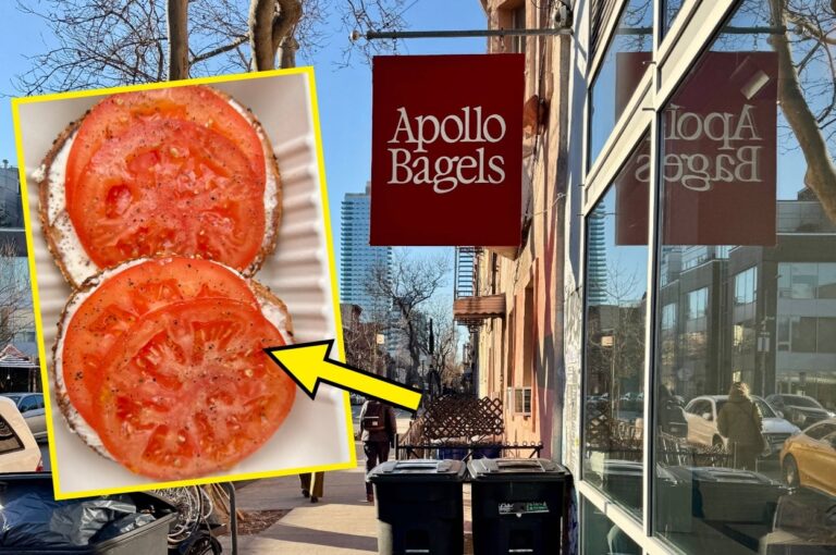 ApolloBagelsNYCReviewTheBestNYCBageljpg | SBM Global News