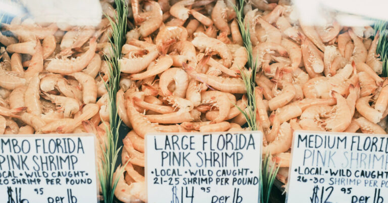 GulfCoastShrimpersSeeHopeinTrumpsTariffsjpg | SBM Global News