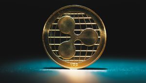 RippleHypeHochststandanXRPWalenKursdrehtaufBitRssjpg | SBM Global News