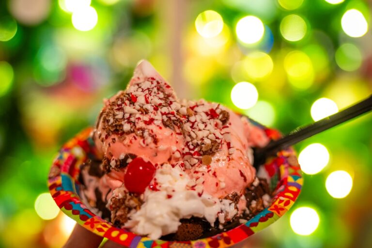 FoodGuideto2025MickeysVeryMerryChristmasPartyjpg | SBM Global News