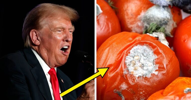 AmericansRevealHowUSFoodQualityHasDeclinedjpg | SBM Global News