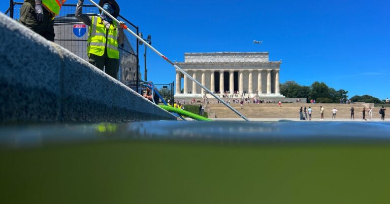 TrumpAdministrationClaimsItMadeTheReflectingPoolBlueSeejpeg | SBM Global News