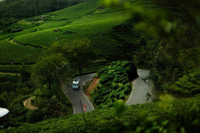 MesmerizingThreeDaysinKeralasGreenHighlandsjpg | SBM Global News
