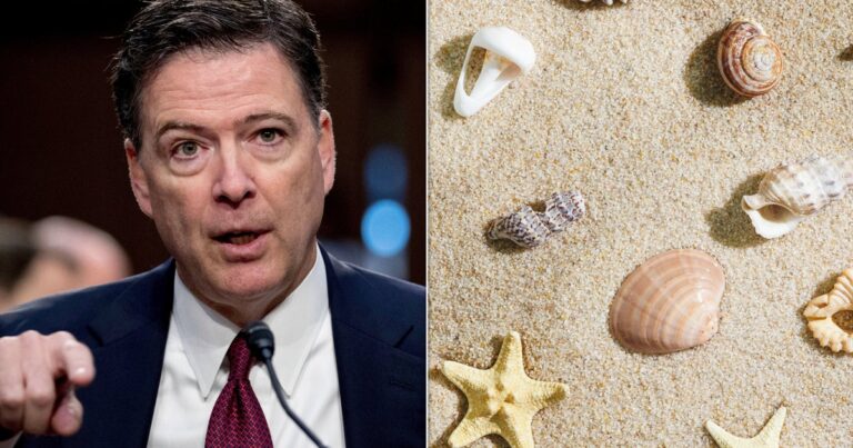 ProsecutorsNoSeriousDisputeComeySeashellPostCouldBeReadjpeg | SBM Global News