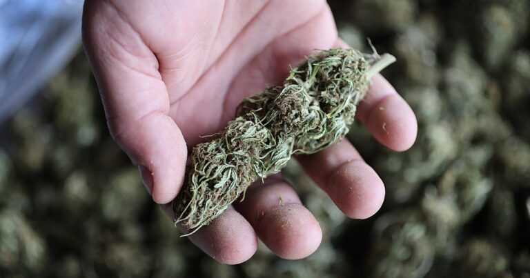 CongressPassesBillDelayingBanOnHempTHCProductsjpeg | SBM Global News