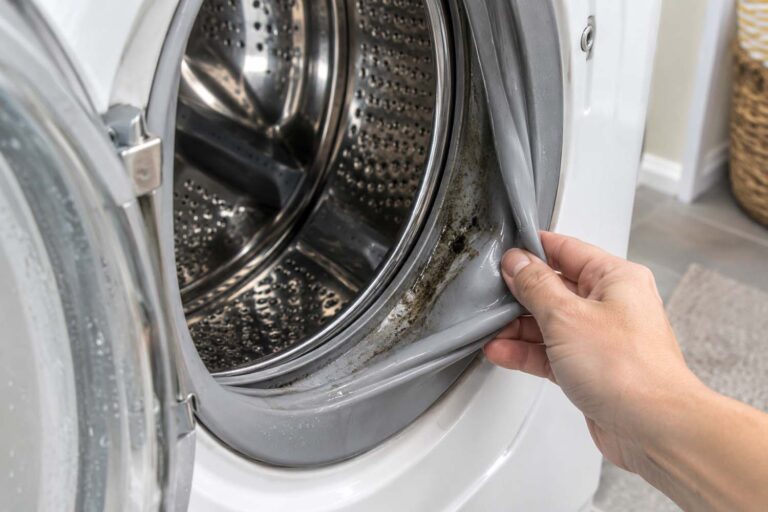 IsYourWashingMachineGrowingMoldHeresHowToTelljpg | SBM Global News