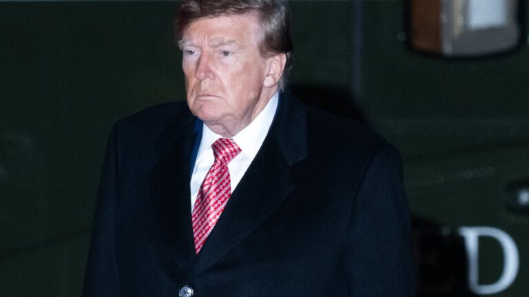 DonaldTrumpIsLearningThatHeCantStealThisElectionjpeg | SBM Global News